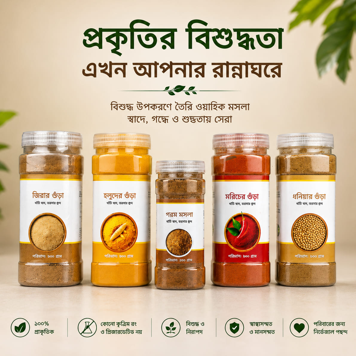 Premium Spices Combo Pack - 5 Essential Pure & Natural Spices Set